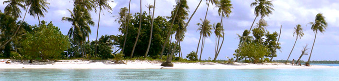Crucero Polinesia