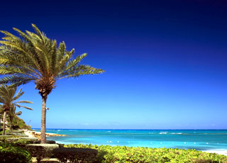 Perles des Antilles