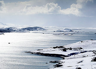 Antarctique