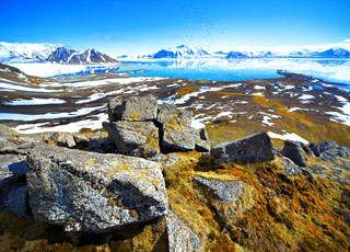Croisière Svalbard et île jan mayen : informations sur la ...
