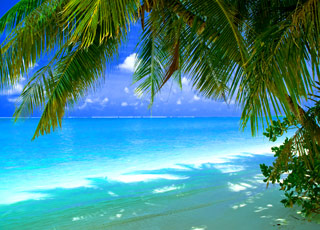 Actualites Martinique Guadeloupe  Guide d'informations Antilles Guyane Caraibes 