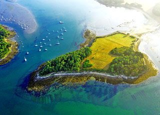 MS Monet (ou similaire) MS Monet (ou similaire)