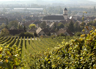 Crosi&egrave;re Eberbach