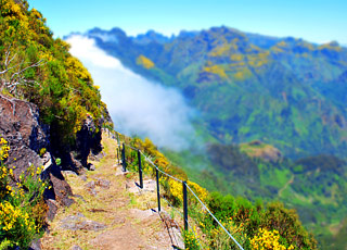Croisi&egrave;re Funchal