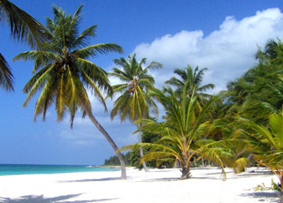 Caïman, Belize, Mexique