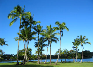 Hilo
