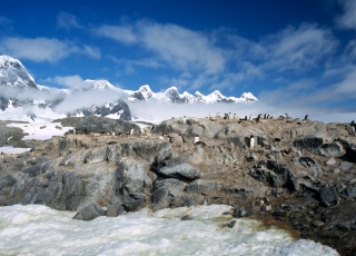 Croisi&egrave;re Port Lockroy
