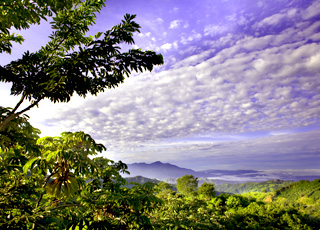 Crosi&egrave;re Puerto Limón