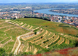 Croisi&egrave;re Tain-l'Hermitage(France)