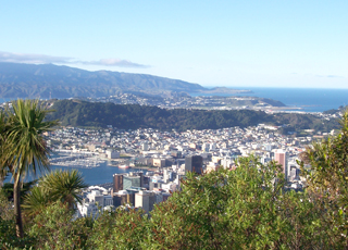 Crosi&egrave;re Wellington