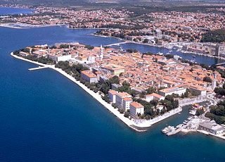 Arion