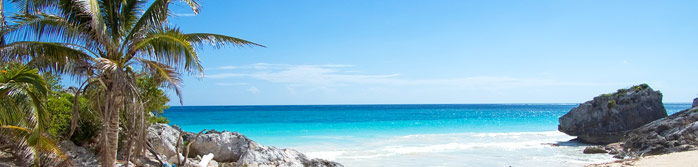 Caraibi