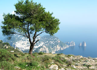 Capri