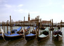 Venezia(Italia)