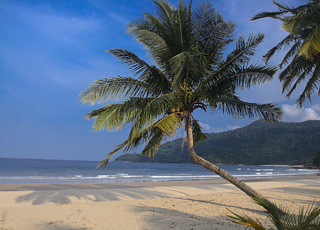 Brésil, Canaries, Maroc, Espagne, France  