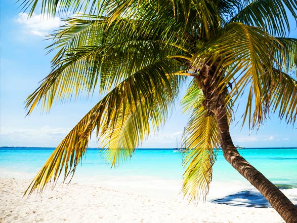 Escapade aux Bahamas 