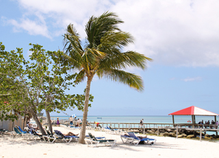 Caraïbes de l'Est : Bahamas & Antilles 