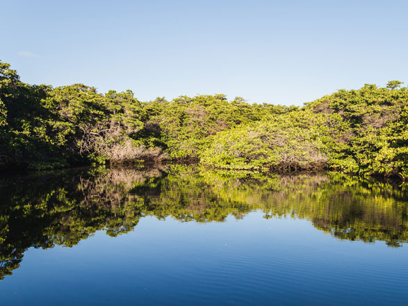 croisière Amérique du Sud : Les îles enchantées des Galapagos