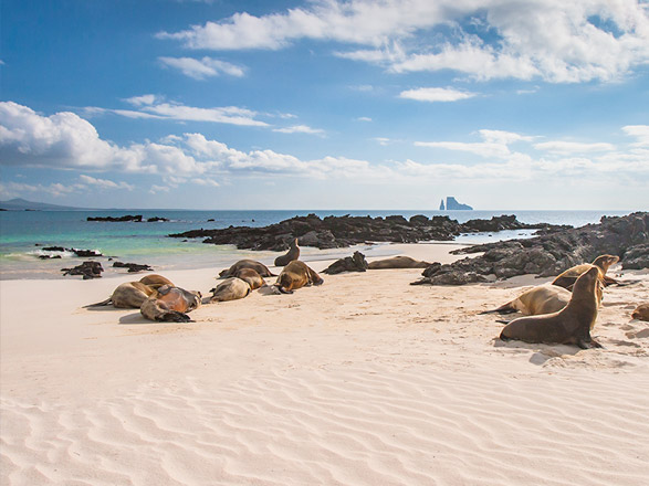 croisi&egrave;re Amérique du Sud : L'archipel mystérieux des Galapagos 