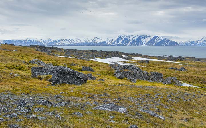 escale,Bellsund-Svalbard Et Île Jan Mayen_720x450,SJ,BEL,517398.jpg