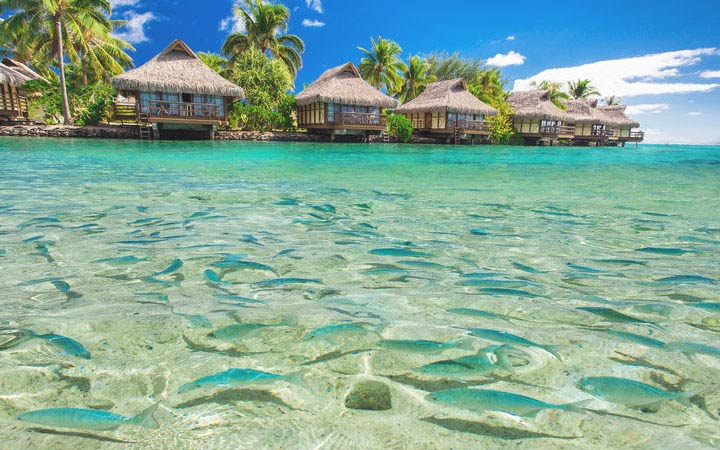 Bora Bora escale,Bora Bora-Polynésie Française_720x450,PF,BOB,42290.jpg