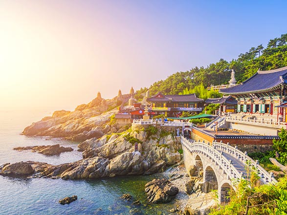 Tokyo, Kobe, Busan