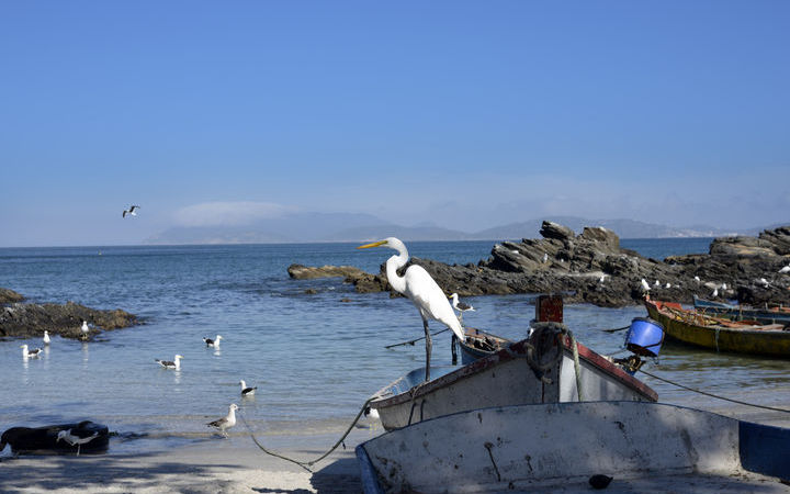 escale,Cabo Frio-Brésil_720x450,BR,QCK,42397.jpg