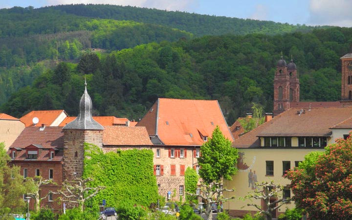 escale,Eberbach-Allemagne_720x450,DE,EBB,43139.jpg