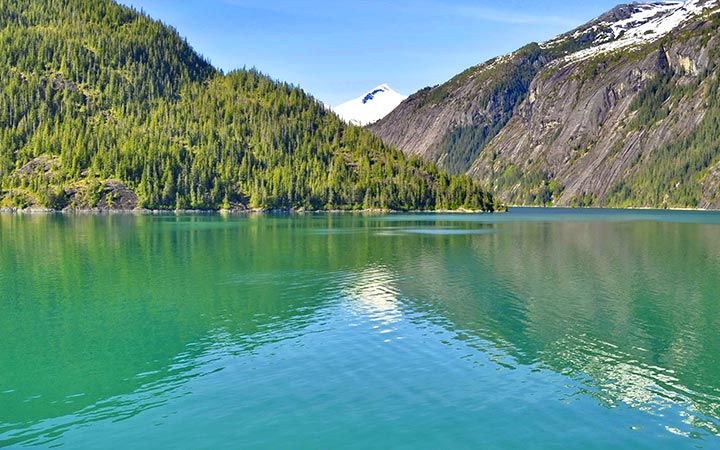 escale,Endicott Arm Fjord-États-unis_720x450,US,ENA,66646.jpg