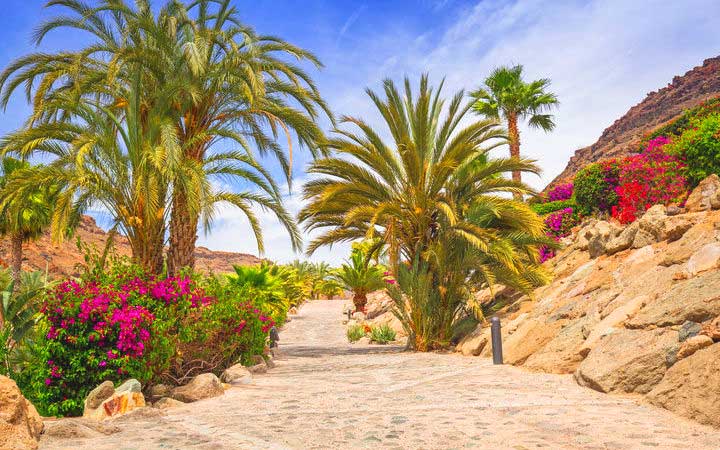 escale,Gran Canaria-Espagne_720x450,ES,XGC,43406.jpg