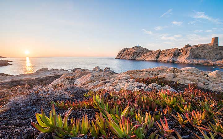 Ile Rousse escale,Ile Rousse-France_720x450,FR,ILR,521618.jpg