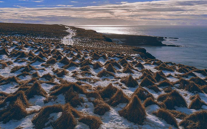 escale,Ile de Grímsey-Islande_720x450,IS,GRY,61529.jpg