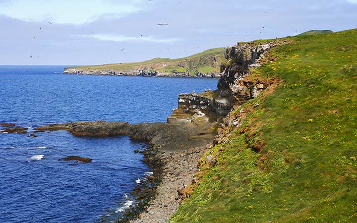 escale,Ile de Grímsey-Islande_720x450,IS,GRY,61531.jpg