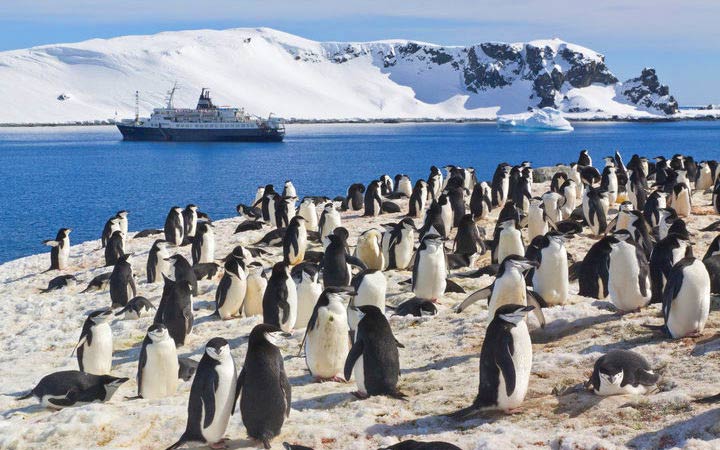 escale,Iles Shetland du Sud-Antarctique_720x450,AQ,ZZX,43666.jpg