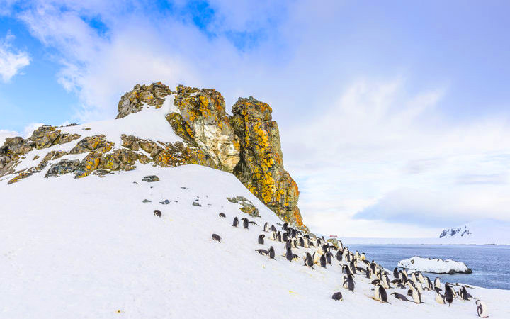 escale,Iles Shetland du Sud-Antarctique_720x450,AQ,ZZX,43668.jpg
