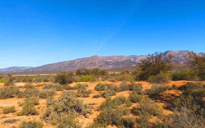 escale,Johannesburg-Afrique Du Sud_720x450,ZA,JNB,43746.jpg