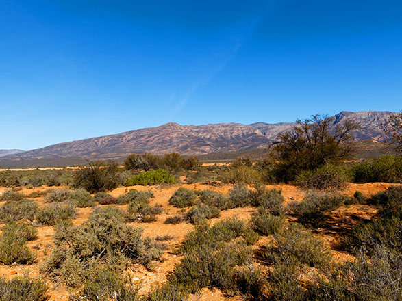 croisière Chobe Zambèze : L'Afrique Australe : Expérience inédite aux confins du monde (11Z_PP) 