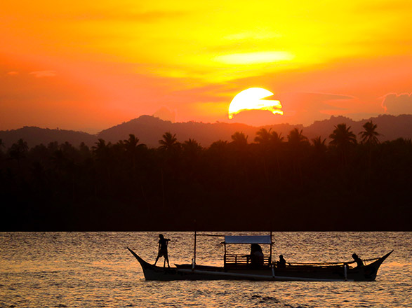 croisière Chobe Zambèze : L'Afrique Australe : Expérience inédite aux confins du monde avec pré-programme au Cap de Bonne Espérance. (14F) 