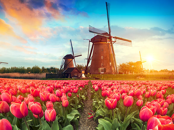 Croisi&egrave;re Kinderdijk