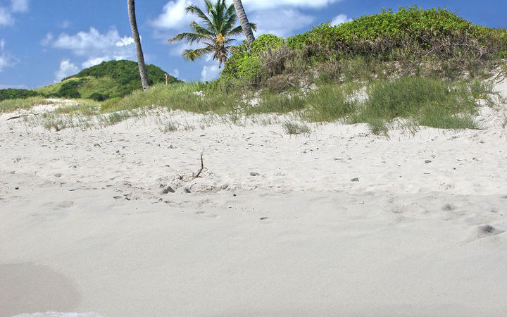 escale,Kingstown-Saint-vincent-et-les Grenadines_720x450,VC,KTN,43873.jpg