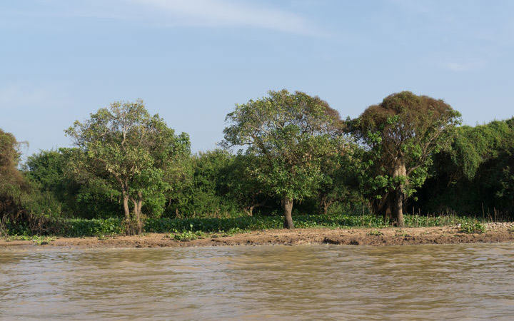 escale,Lac Tonle Sap-Cambodge_720x450,KH,ZZL,44031.jpg