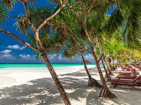 croisière Pacifique : Fidji

, Samoa

, Îles Cook, 

Polynésie française 