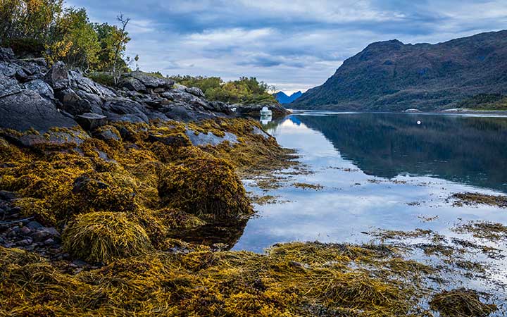 Lodingen escale,Lodingen-Norvège_720x450,NO,LOD,525491.jpg