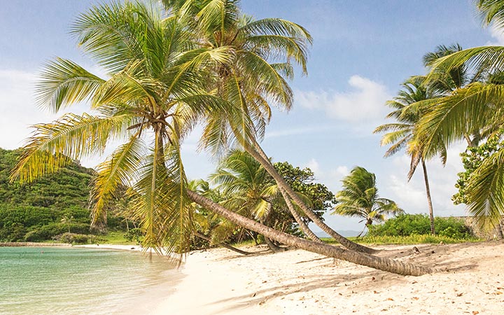 escale,Mayreau-Saint-vincent-et-les Grenadines_720x450,VC,ZZP,519787.jpg