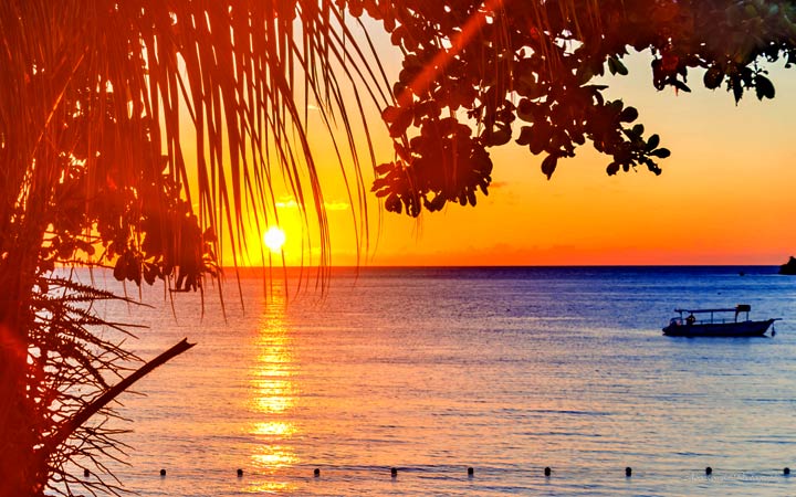 escale,Montego Bay-Jamaïque_720x450,JM,MBJ,72007.jpg