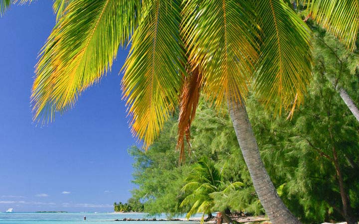 escale,Moorea-Polynésie Française_720x450,PF,MOZ,44738.jpg