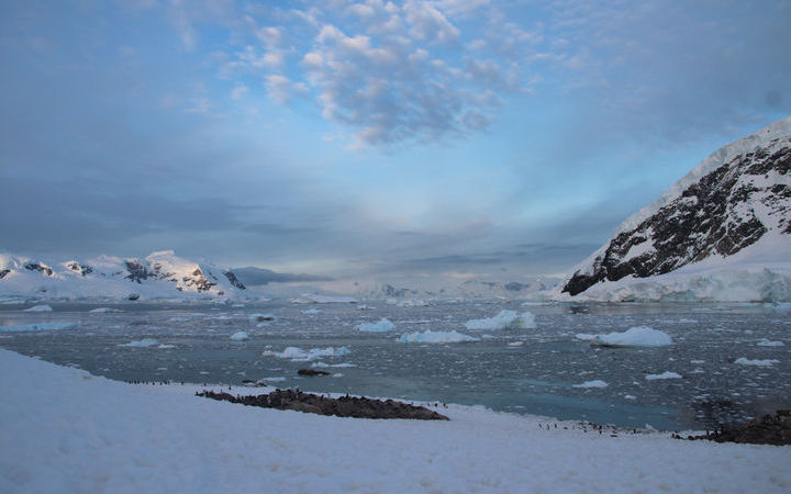 escale,Neko Harbour-Antarctique_720x450,AQ,ZWJ,44958.jpg