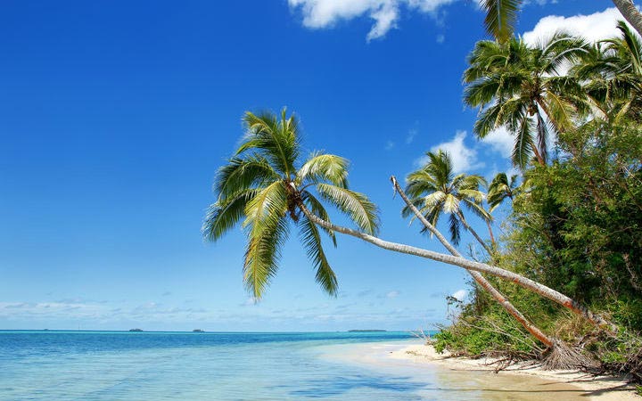 escale,Nuku Alofa-Tonga_720x450,TO,TBU,45059.jpg