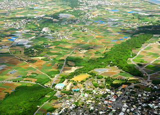 escale,Okinawa-Japon_zoom,JP,OKA,9429.jpg