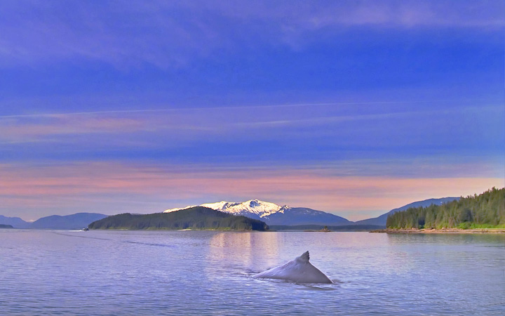 escale,Passage Intérieur (Alaska)-États-unis_720x450,US,IYY,72748.jpg